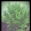 이원목장 이미지