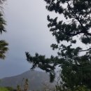 제주소식/ 제17호태풍'타파'가남긴 하늘 의 오색 무지개 이미지
