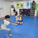 용인대 성서 태권도 이미지