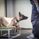 루카스독트레이닝 이미지