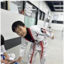 우리태권도장 | 기지초태권도 즐겁게 배우고 성장하는 우리 아이들, 품태권도장 후기