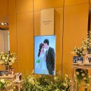 유한회사 바다마린 | 부산 예식장 투어 후기 바다가 보이는 한화리조트웨딩홀 뷔페부터 장점까지 총정리