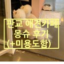 몽슈 펫그루밍샵 이미지