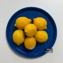 더캠트 - 울주군 굴화1길 7-5 | 캠브로 캠트레이 내돈내산 후기｜사각·원형 사이즈 비교, 1년 써보니 (+공구정보)