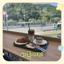 양지개발 | 용인 라떼맛집 처인구 라떼맛집 양지 라떼맛집 바톤커피 오픈한 신상카페 후기