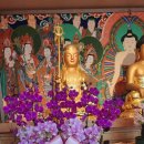 스님 생신 축하화분♡ 이미지