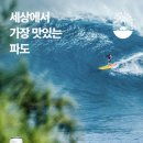 (주)제주소리 네이버블로그