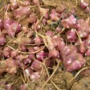 석문농장 이미지