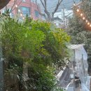 부림4길42-15 | 양산 분위기 가성비 갑 너른집 가족모임 현지인맛집 내돈내산 후기