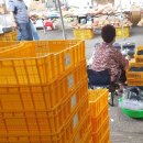 다온농장2 이미지