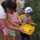 북일초교 병설유치원 이미지