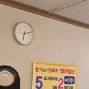본가로 간 암퇘지 이미지