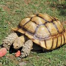 (주)거북 이미지