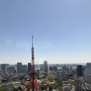 언니들은 도쿄 타워&바다 뷰 vs 후지산 뷰 어떤 게 좋아? 이미지