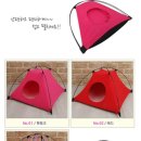 하우스독 이미지