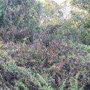 수두리경로당 이미지