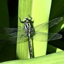 강원도자연환경연구공원 이미지