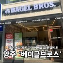 회천남로 | 옥정 베이글ㅣ베이글브로스 양주옥정본점 메뉴부터 후기까지!