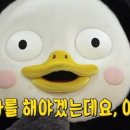 마음의향기진요가
