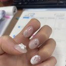 젤라떼리아단;사이 이미지