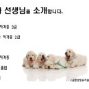 금빛동물병원 이미지