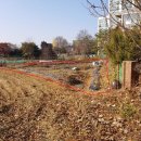 신미주사랑약국 이미지