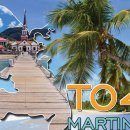 TO4A (Martinique)11월 21일-27일 이미지