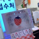 모찌누나