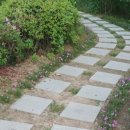 은평성모안경 이미지