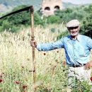 상호리마을 이미지