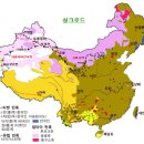실크로드 이미지