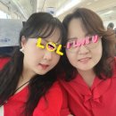 울산 장생포 수국축제, 고래마을/투데이&#39;s 아로마 [라벤더]에센셜오일 영리빙