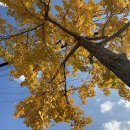 활성동 밀양시국궁장 이미지