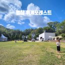 무전동 주차장 입구 ∼ 해동주유소 앞 | 평창 휘게포레스트 캠핑장 10월 날씨 | A14사이트 후기 및 시설 안내