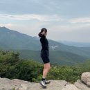 코오롱스포츠울산 - 중구 서원1길 1 | 코오롱스포츠 등산화 811 내돈내산 후기