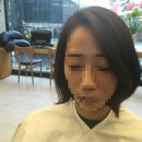 더 헤담