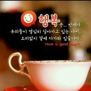 김밥&국수 이미지