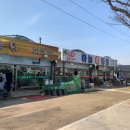 은성화원 | 인천 꽃시장_은성꽃도매상가