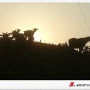 실로암농장 이미지