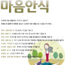 안식 Daum카페