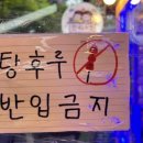 탕후루와꼬치 이미지