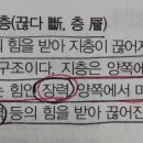 변환단층은 장력? 횡압력? 무슨힘이라고 표현하나요? 이미지