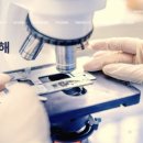 서울아이비에프여성의원 | [시험관1차] 서울아이비에프여성의원에서 동결이식, 시술주기요약