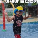 (주)양촌여울체험캠프 네이버블로그
