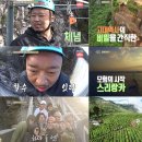 오지의마법사 이미지