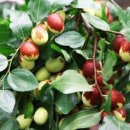 자기 삶의 주인이 되는 책 읽기 이미지