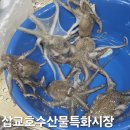 태능시장 특화거리 | 충청남도 당진 여행 필수 코스 삽교호 수산물 특화시장 방문 후기