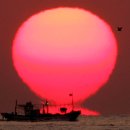 사랑과 희망의 합창 이미지