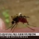 美 바이러스 이미지