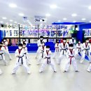 청원태권도장 이미지